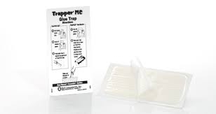 Bell Trapper Mini T-Rex Mouse Snap Trap